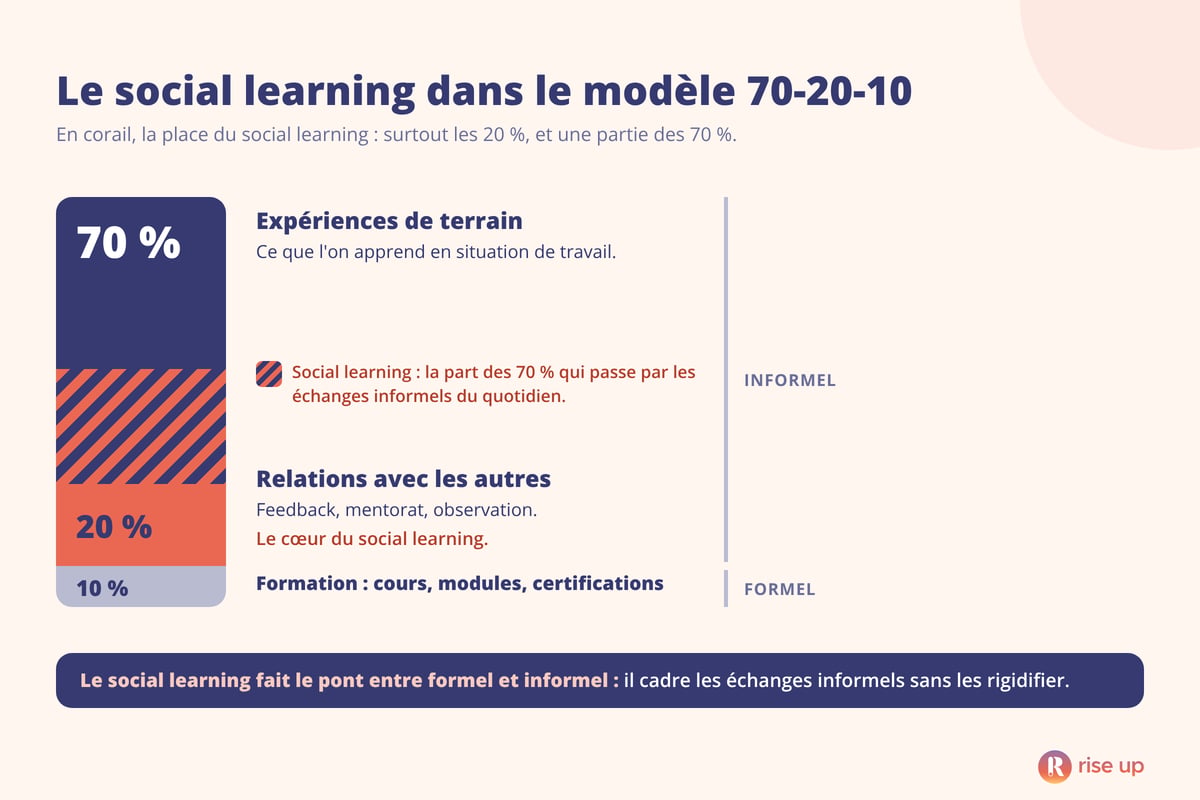 Le modèle 70-20-10 de l'apprentissage, avec 70 % par les expériences de terrain, 20 % par les relations avec les autres et 10 % par la formation ; le social learning se joue surtout dans les 20 % et dans la part des 70 % qui passe par les échanges informels du quotidien, et fait le pont entre apprentissage informel et formel