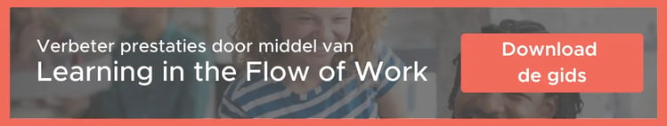 Download de Learning in the Flow of Work Gids