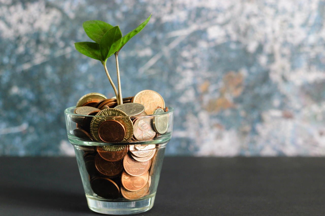 Plant growing out of a glass filled with coins