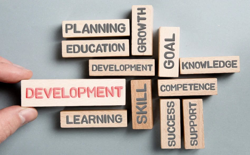 skills development plan
