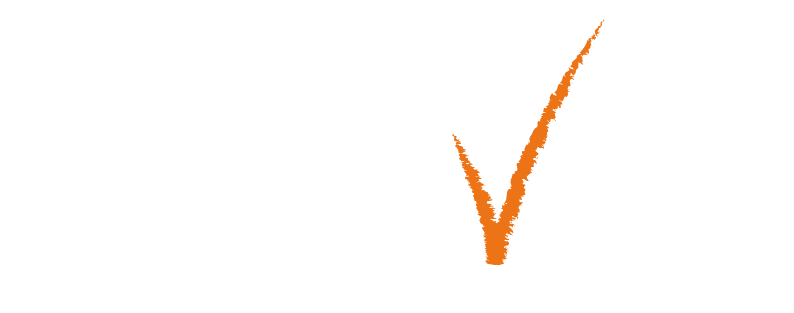 Logo-Opteven-01 (1)
