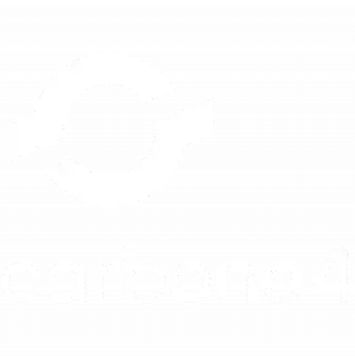 logo carbone 4
