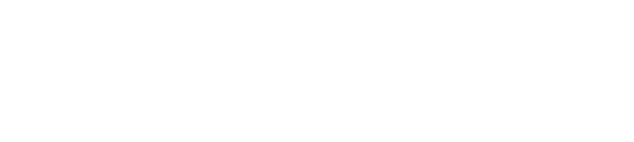 paretoLogo